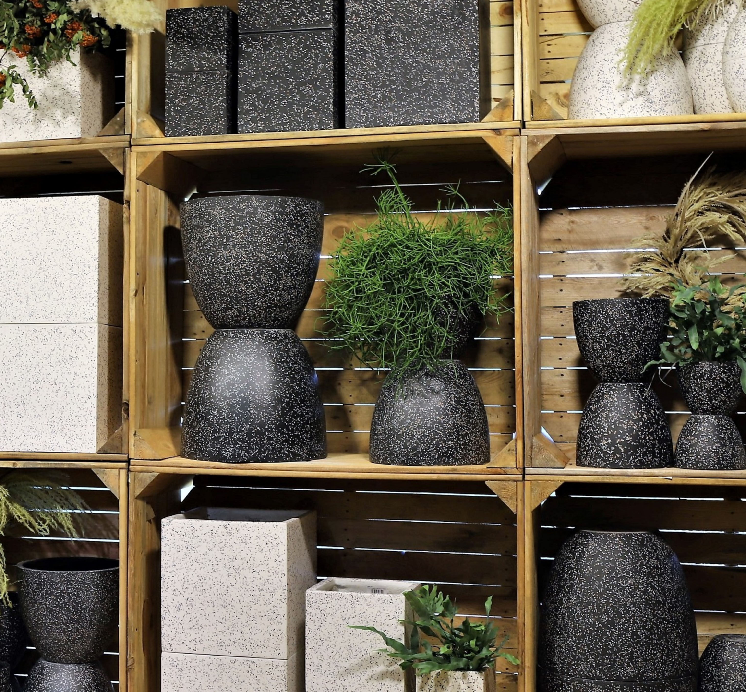 Nasiona kukurydzy w AGRODUDEK – wybór, który procentuje - miniatura